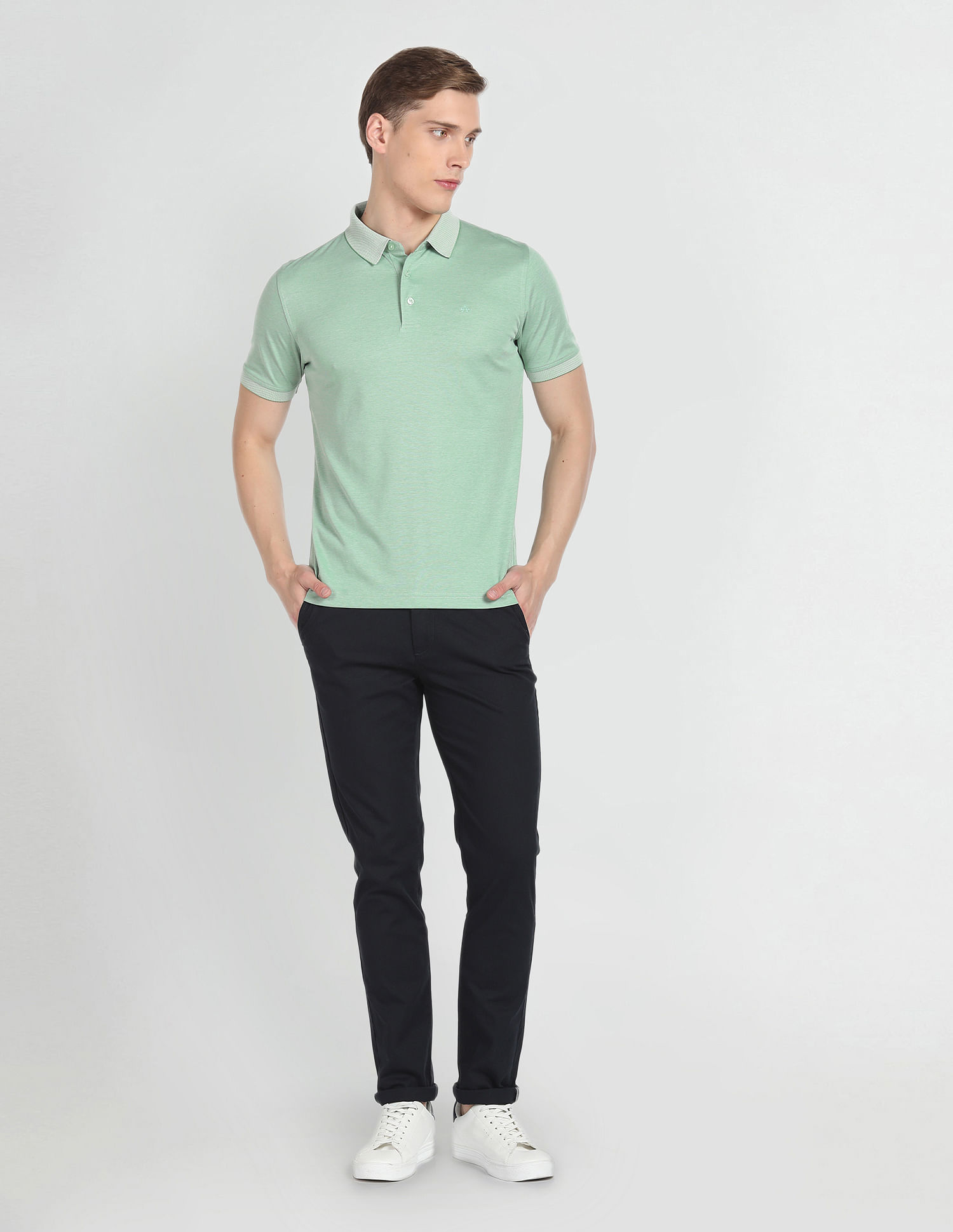 Arrow Cotton Solid Polo Shirt