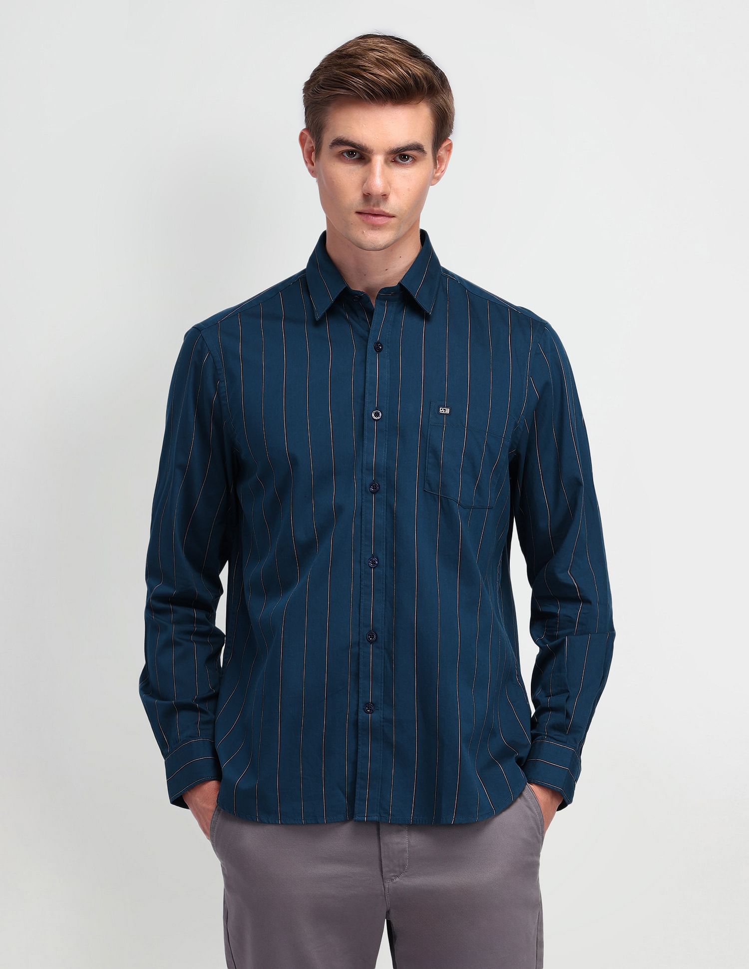 Arrow Sport Vertical Striped Cotton Shirt