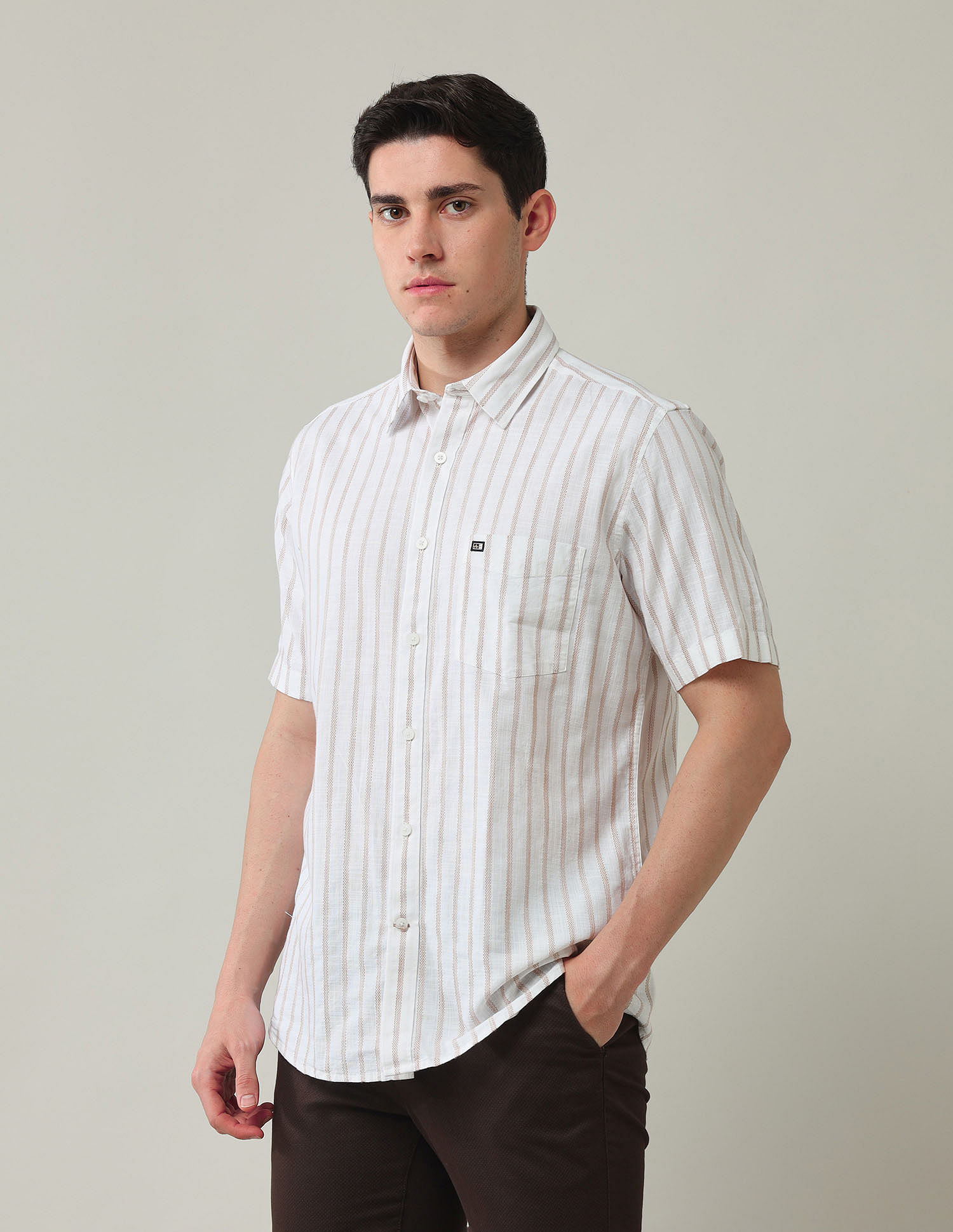 Arrow Sport Vertical Striped Dobby Shirt