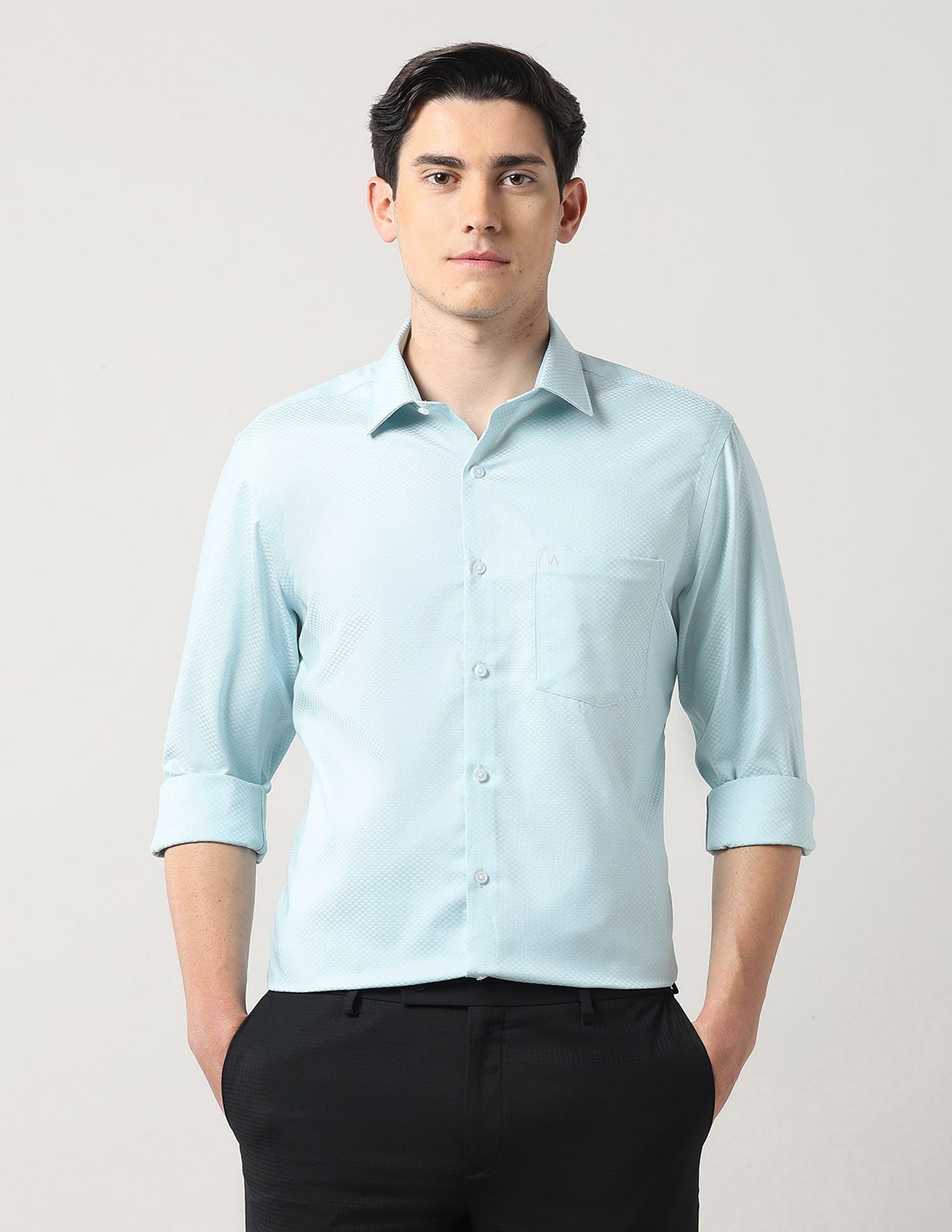 Arrow Textured Cotton Autopress Shirt