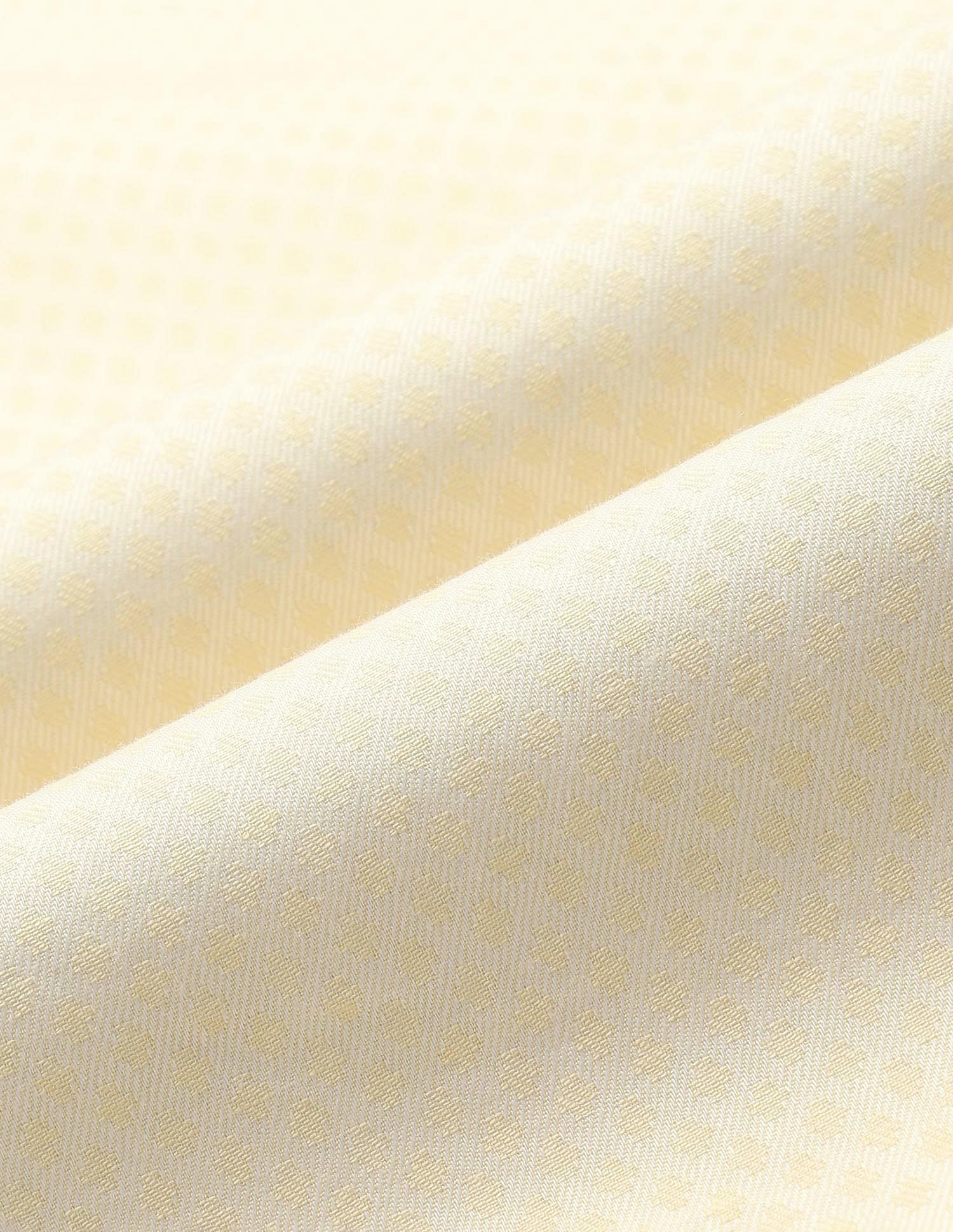 Arrow Liberty Classic Fit Pure Cotton Ceremonial Shirt