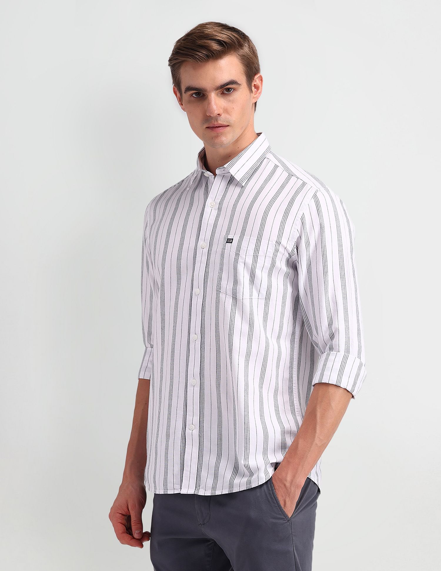 Arrow Sport Oxford Vertical Striped Shirt