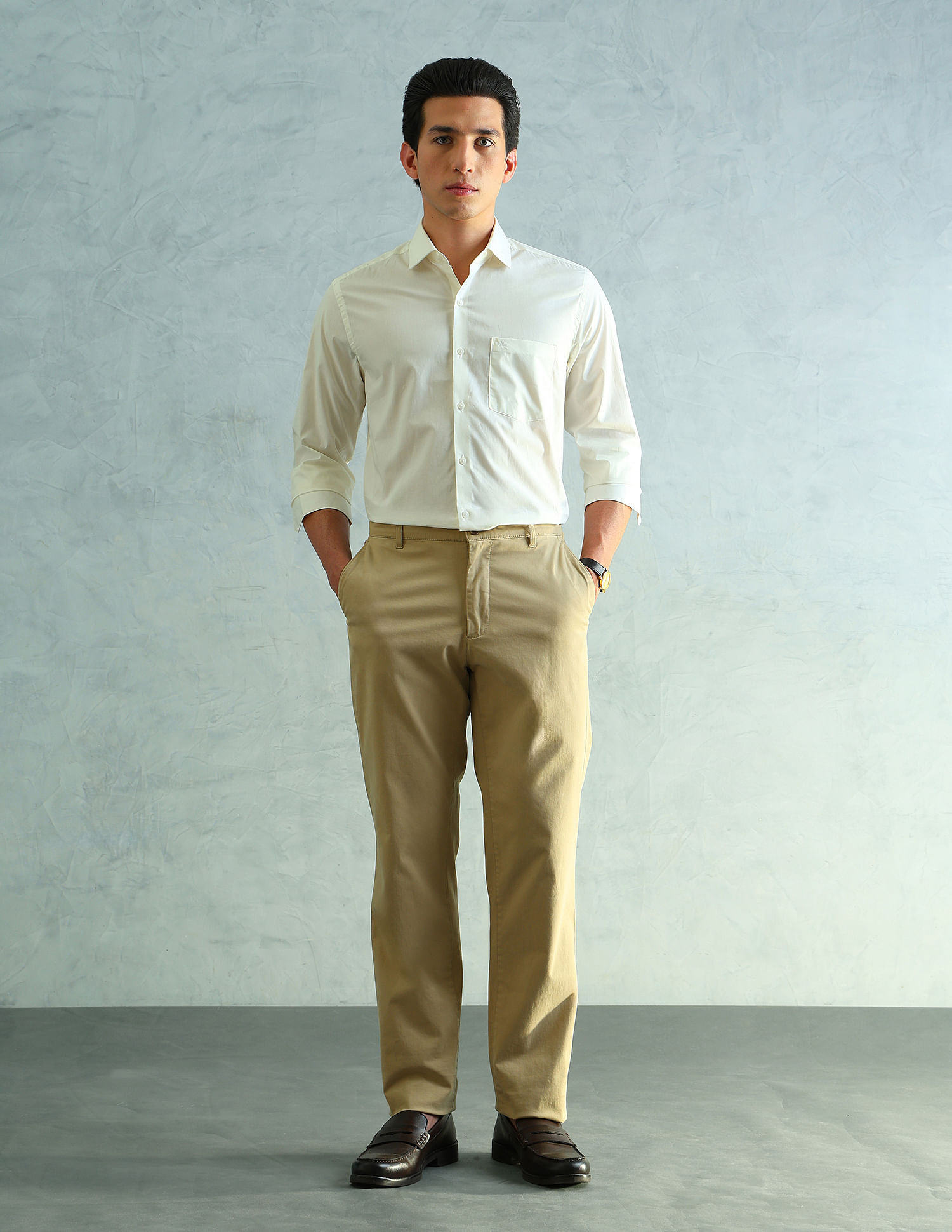 Arrow Slim Fit Smart Formal Shirt