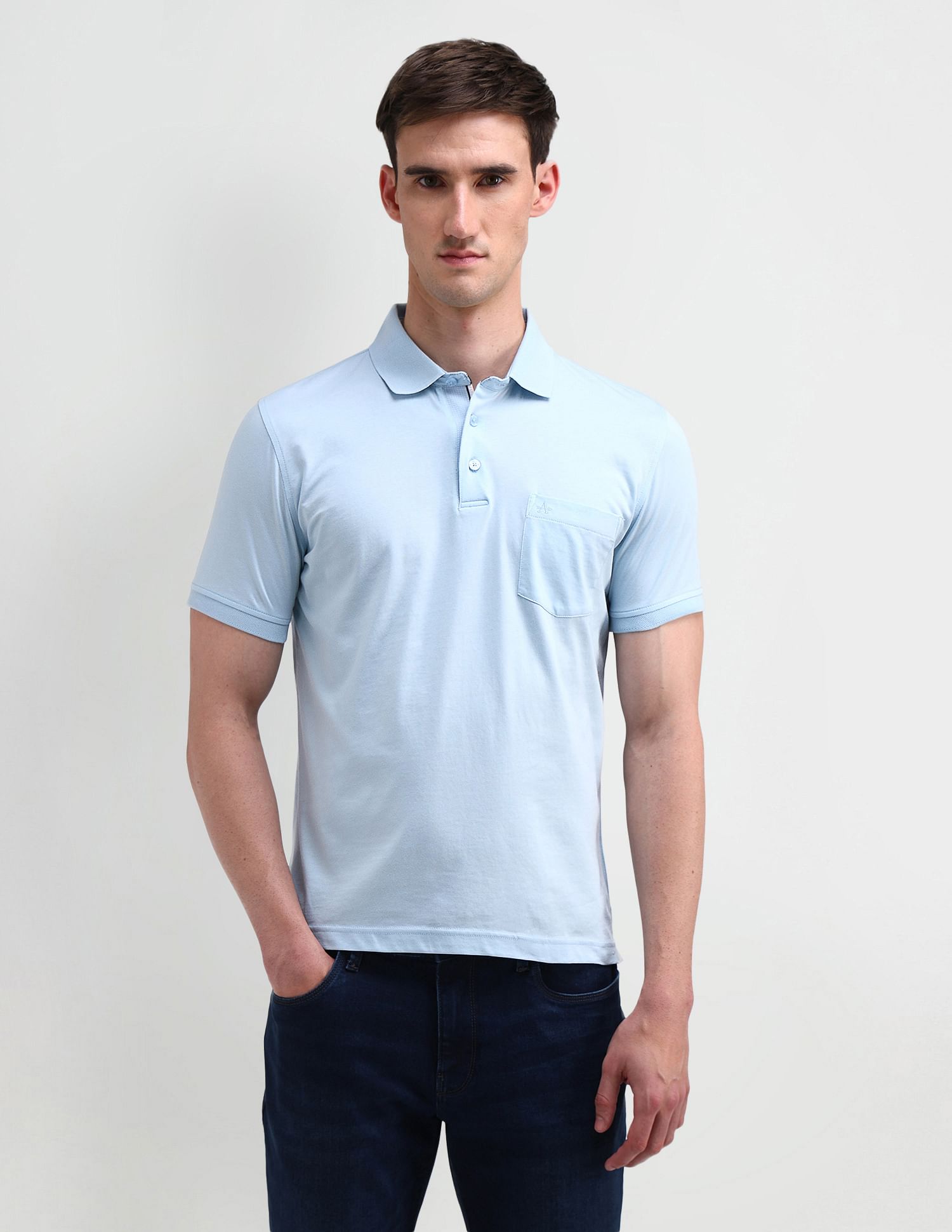 Arrow Regular Solid Polo Shirt