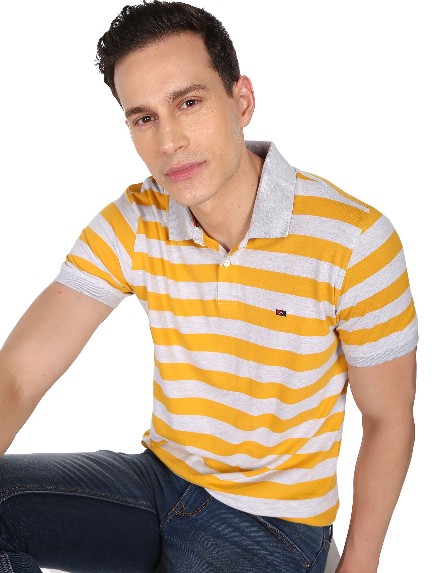 AD by Arvind Horizontal Stripe Pique Polo Shirt