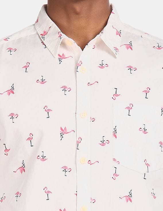 Buy Aeropostale Men Off White Flamingo 