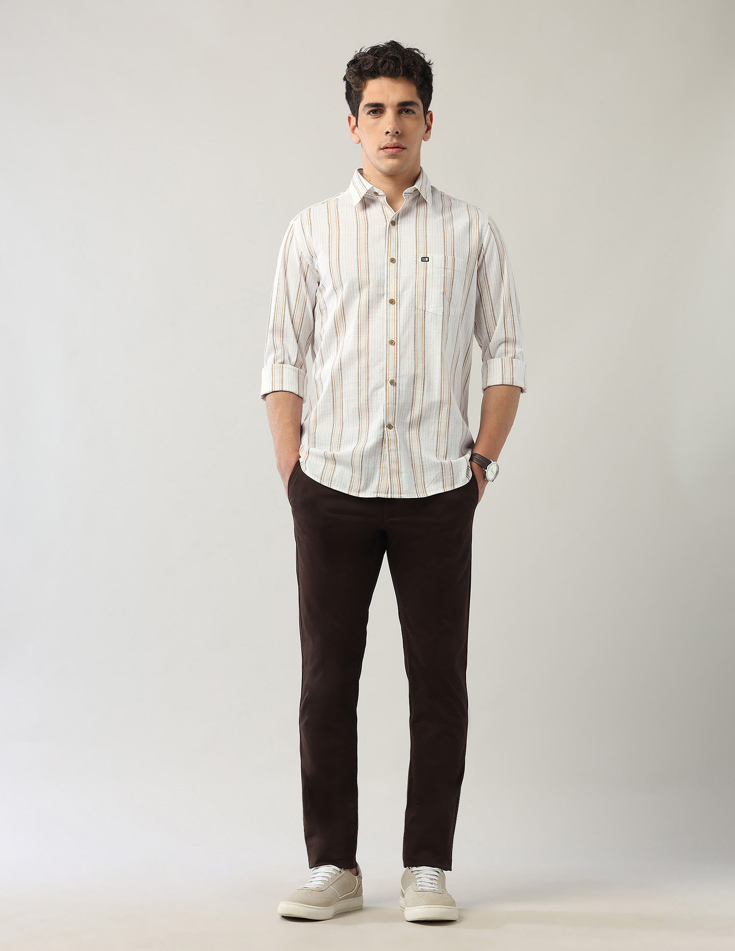 Arrow Sport Vertical Striped Regular Shirt