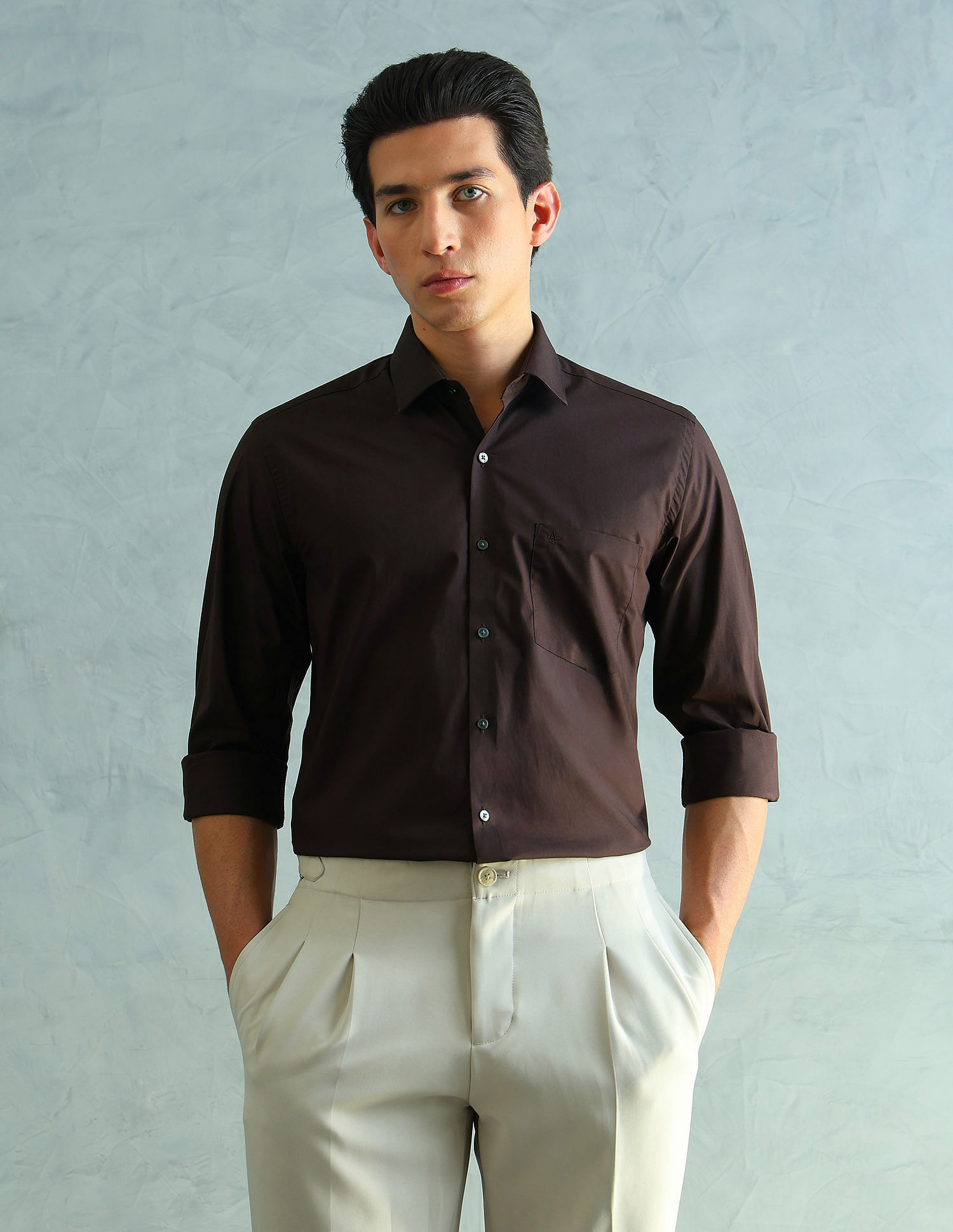 Arrow Slim Fit Smart Formal Shirt