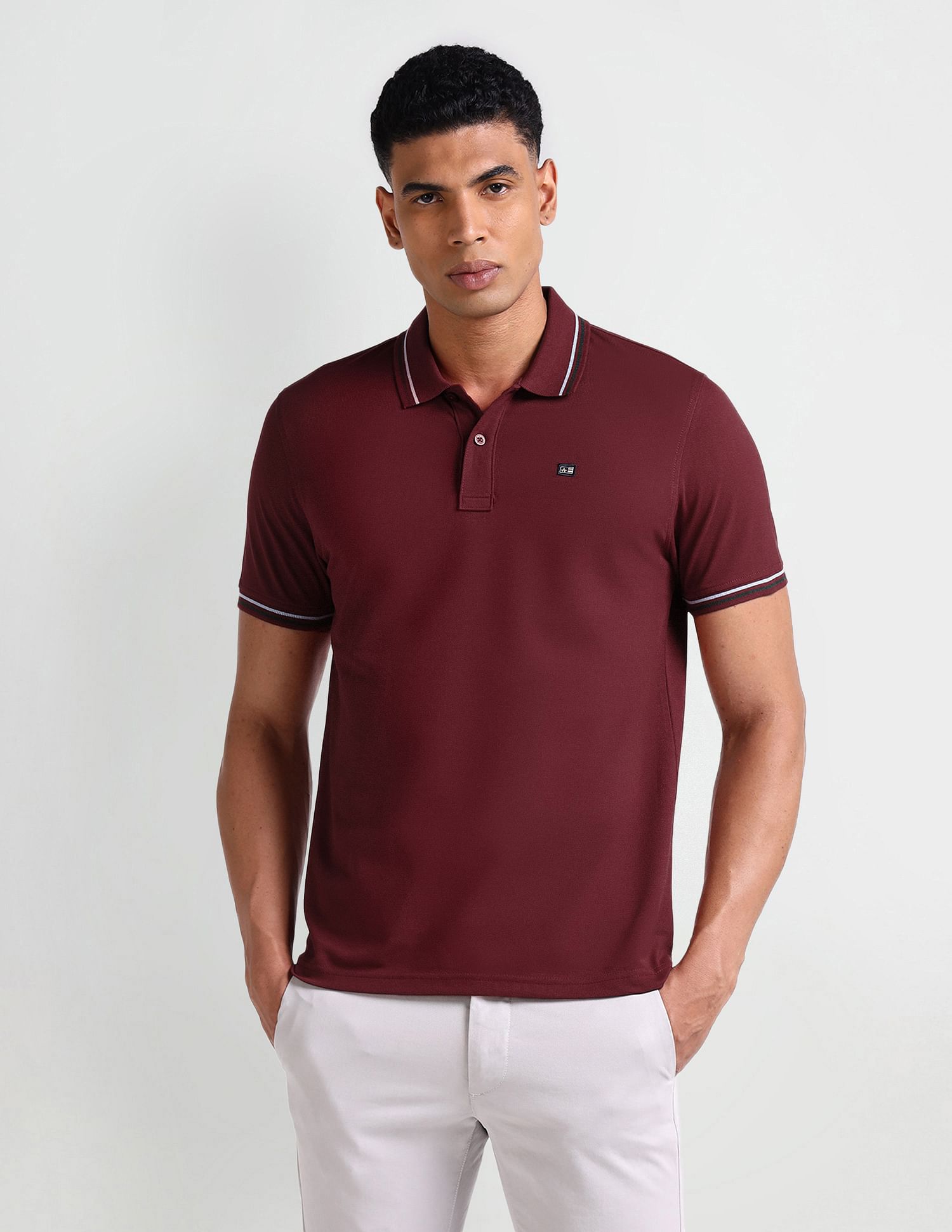 Arrow Sport Striped Collar Solid Polo Shirt