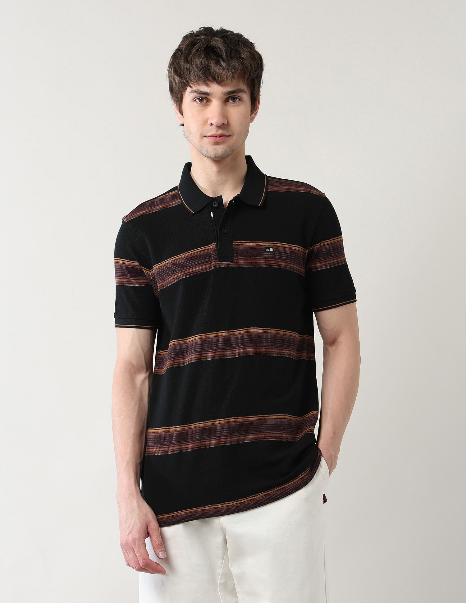 Arrow Sport Horizontal Striped Regular Fit Polo Shirt