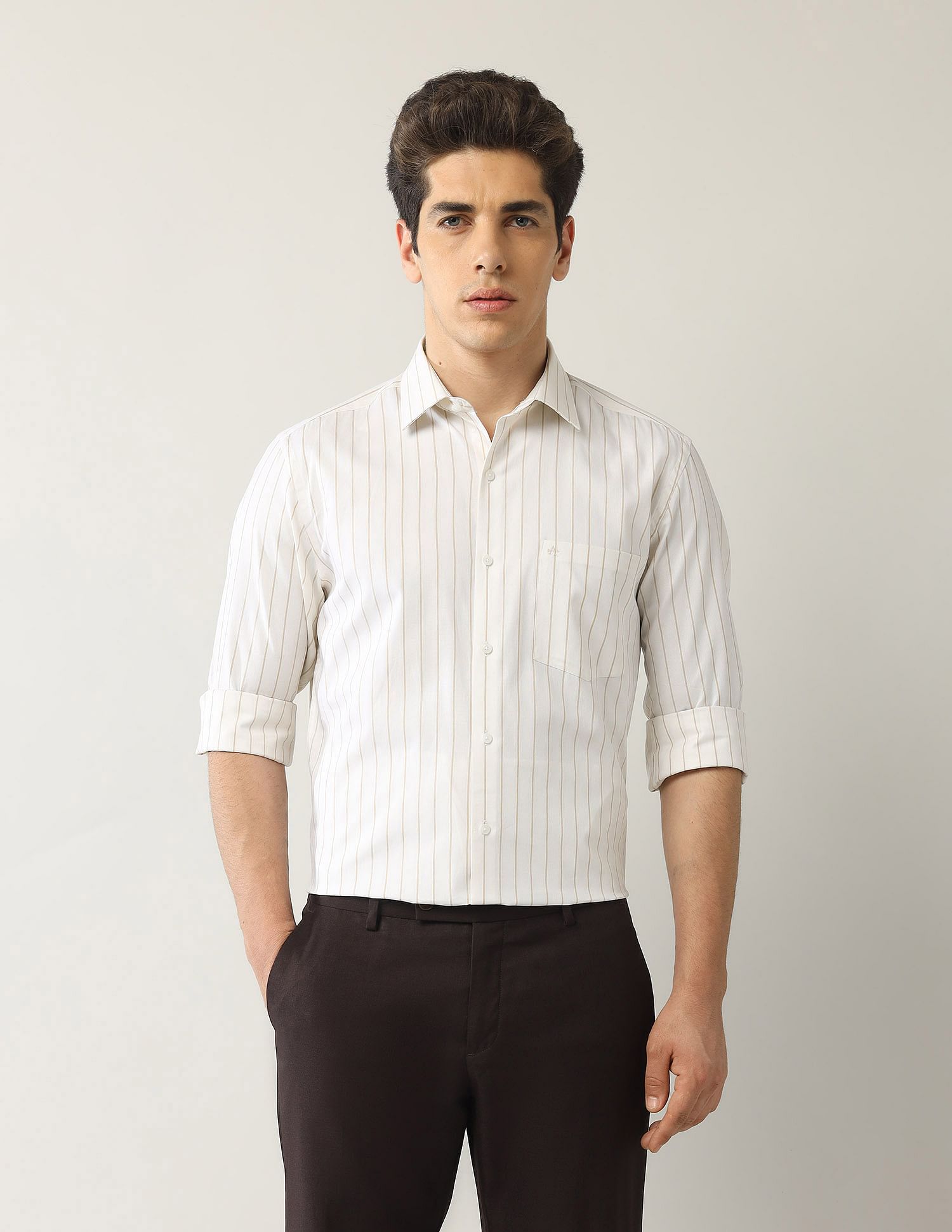 Arrow Liberty Classic Fit Vertical Striped Shirt