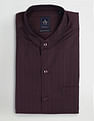Arrow Vertical Striped Dobby Shirt