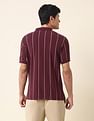 U.S. Polo Assn. Vertical Striped Classic Polo Shirt