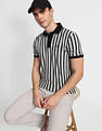 Arrow Sports Vertical Stripe Cotton Polo Shirt