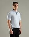 Tommy Hilfiger Solid Regular Fit Cotton Polo T-Shirt