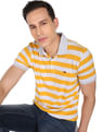 AD by Arvind Horizontal Stripe Pique Polo Shirt