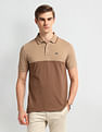 Arrow Sport Regular Fit Clourblocked Polo Shirt