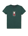 Tommy Hilfiger Kids Boys Flag Embroidered Regular T-Shirt