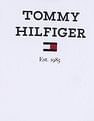 Tommy Hilfiger Kids Boys Logo Regular-Fit Cotton T-Shirt