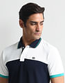 Arrow Sports Colour Block Regular Polo Shirt