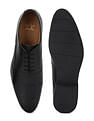 Arrow Men Sneffles 2.0 Leather Shoes