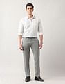 Arrow Vertical Striped Liberty Classic Fit Shirt
